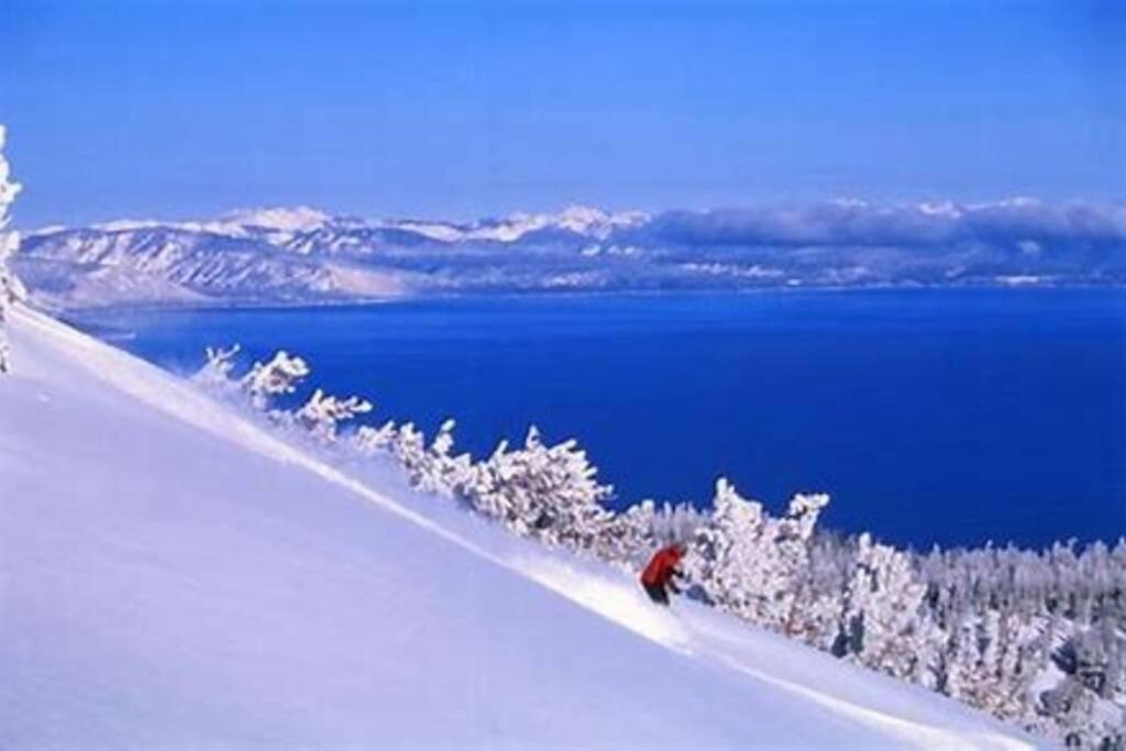 Ski In/Out - Zalanta - Great Location- 2 Hot Tubs - Heated Pool South Lake Tahoe Exterior photo